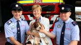 K-999 call: Limerick firefighters thanked for rescuing precious Ruby from drowning
