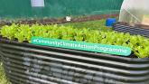 Community Climate Action Programme tackles local climate commitment in Limerick