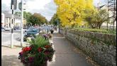 Volunteers’ hard work pays off as Limerick city earns coveted Tidy Towns Gold Medal