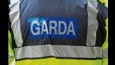 Gardai appeal for witnesses following thefts in Limerick city