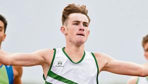 Limerick Athletics - Weekly News Update