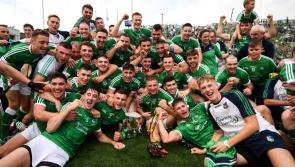 All Ireland champions Limerick dominate All Star hurling nominations