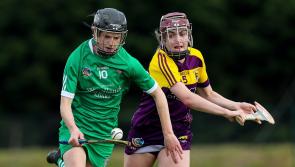 Limerick camogie within sight of All-Ireland knockout stages after Wexford win