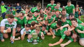 Limerick's 33-strong minor hurling panel to receive their Munster championship medals