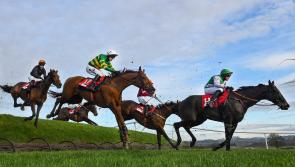 Limerick trainer Enda Bolger lands 10th Risk Of Thunder cross-country chase with Yanworth