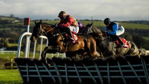 WATCH: Limerick racing syndicate celebrate Punchestown success