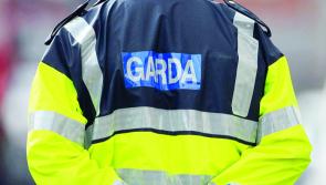 Limerick beachgoers warned Kerry gardai to target illegal parkers