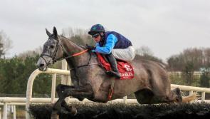 It's Family Fun Day at Limerick Christmas Racing Festival