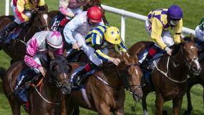 Limerick racing enthusiasts enjoy rich pickings on the track