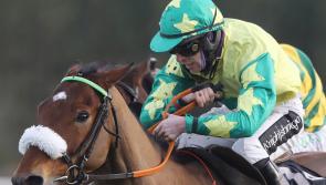 Limerick trainer Eoin McCarthy enjoys memorable Christmas period