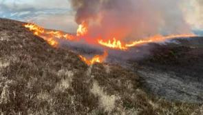 'An easily preventable threat' - McConalogue warns public against starting illegal fires