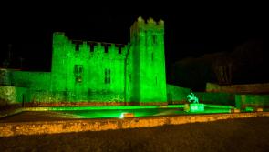 SLIDESHOW: Thousands enjoy Limerick St. Patrick’s Festival - virtually
