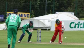 Zimbabwe cricket international joins Munster Reds