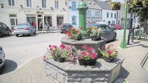   Glin sparkles on  Shannon Estuary Way
