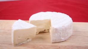 FOOD ALERT: Batch of Irish cheese recalled due to presence of E. Coli