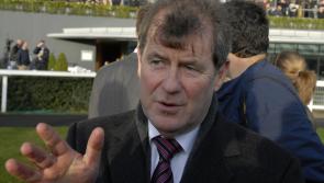 National purchase Enjoy D’allen ticks the boxes for JP McManus