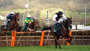 Flooring Porter retains Stayers’ Hurdle title in style