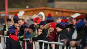 Limerick clubs target precious All-Ireland League wins