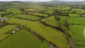 Forty acres of Limerick land guided at €260k ahead of online auction