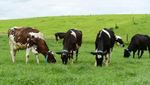 Cost of fertiliser and feed prices continue to soar for agriculture industry