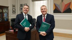 'Cannot get to grips with this housing crisis' - Mixed reaction to Budget 2024