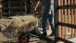 'Rural Ireland doesn't matter' - Macra disappointed as long-standing issues not addressed in Budget 