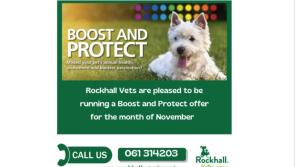 Rockhall Veterinary: All things vaccines