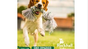 Weekly Wag: Ingestion of autumn and winter berries