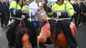 PICTURES: Fans enjoy racing revelry at Dublin Racing Festival 
