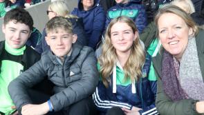 IN PICTURES: Limerick hurling fans cheer on side in Allianz League win over Antrim - Part 2