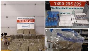Cannabis 'destined for Limerick' sniffed out by detector dogs Milo and Grace