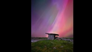 Green Limerick: Local photographer reaches for the stars in prestigious competition