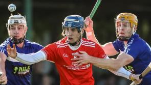 Limerick hurling stars primed for start of club championship