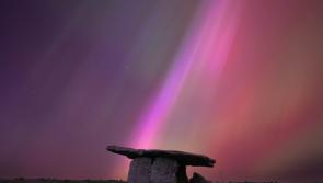 Limerick man selected for prestigious competition for 'once in a lifetime' photograph 