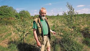 Longford farmer contributes to new book on a more sustainable farming future 