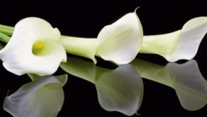 Deaths in Limerick: Thursday, April 17