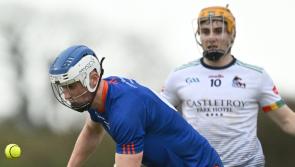 Limerick colleges learn Fitzgibbon Cup groups
