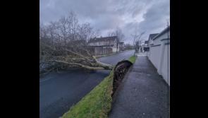 UPDATE: 'No trains operating'-  When will Irish Rail services open again? 