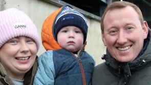 PICTURES: Supporters cheer on Limerick senior hurling team against Waterford 