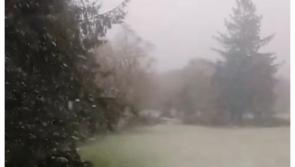 WATCH: Surprise snowfall in parts of Ireland following mini spring heatwave