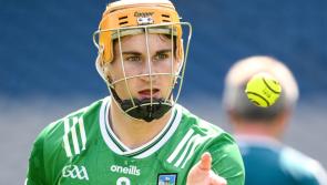 Two Limerick hurlers named in GAA.ie Team of the Week