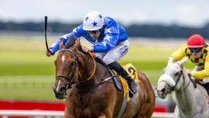 Limerick jockeys Billy Lee and Chris Hayes continue fine flat form