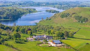 PICTURES: International interest in purchasing hidden gem in Limerick for €3.75m