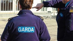 Extra gardai promised to fight crime in Limerick, say local politicians