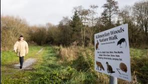 Seven outdoor amenities set to benefit from major investment