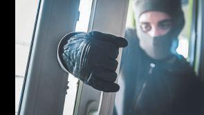 Shutters stop Limerick city break-in as door of business premises damaged