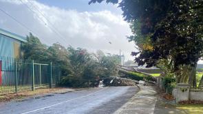 BREAKING:  Family's miraculous escape after tree and ESB pole crash down on to car in Limerick 