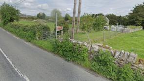 Safety concerns on busy Limerick road prompt call for resurfacing and upgrade works