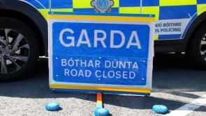 RIP: Man dies after tragic early-morning crash with lorry as garda&iacute; appeal for witnesses