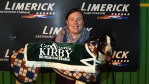 Twelve greyhounds and assigned GAA clubs remain in Limerick's Con & Annie Kirby Memorial